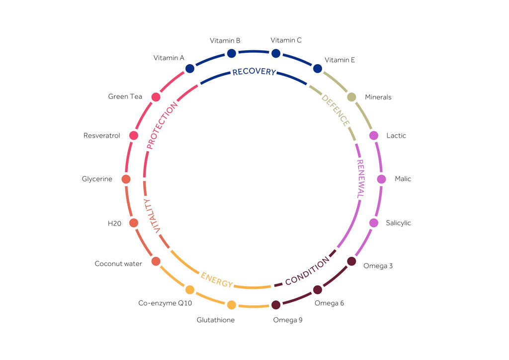 List of skincare active ingredients in the GFYS cosmeceutical vegan range includes retinol, vitamin A B C, AHAs, BHAs, Omega Oils, Green Tea, Zinc Oxide mineral UV sun protection, Resveratrol, Hyaluronic Acid, Co Q10, Salicylic, malic and lactic acids